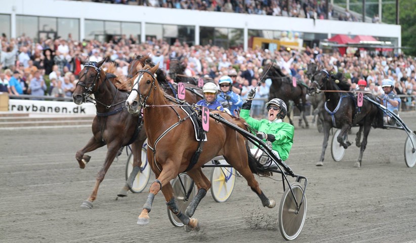 Dansk trav derby 2016